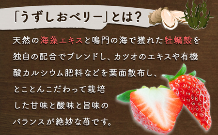 【朝摘みをお届け！】【2025年12月中旬頃より順次発送】 フルーツガーデンやまがたのいちご「うずしおベリー」特大粒16個 【数量限定】 いちご フルーツ 果物 苺 イチゴ 旬の果物 季節の果物 鳴門