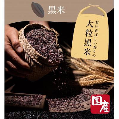 ふるさと納税 松原市 ご飯パック 金賞健康米 玄米・黒米 120g×12個入り 国産 レンチン |  | 02