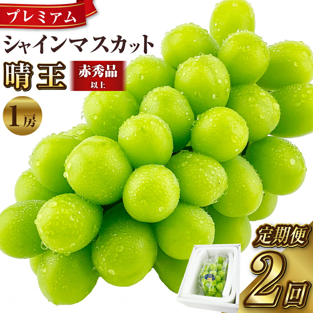 【ふるさと納税】＜定期便＞ぶどう 2026年度分 先行予約 プレミアム シャインマスカット 晴王 赤秀品以上 1回あたり1房（約650g）2ヶ月定期便 計約1.3kg 船穂産 岡山県産 マスカット 【2026年9月上旬より順次発送予定】