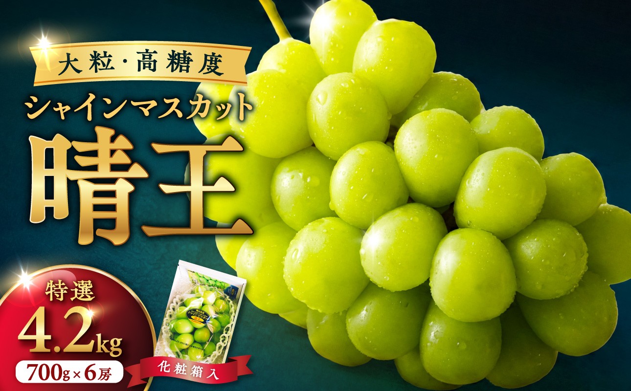 
                  【選べる配送年】岡山県産シャインマスカット「晴王」特選　大房　化粧箱入（約700g×6房）【シャインマスカット シャイン マスカット 晴王 フルーツ 果物 くだもの 葡萄 ぶどう 岡山県産 特選 種無し 高糖度 2026年 2027年 令和8年 令和9年 先行受付 先行予約】
                