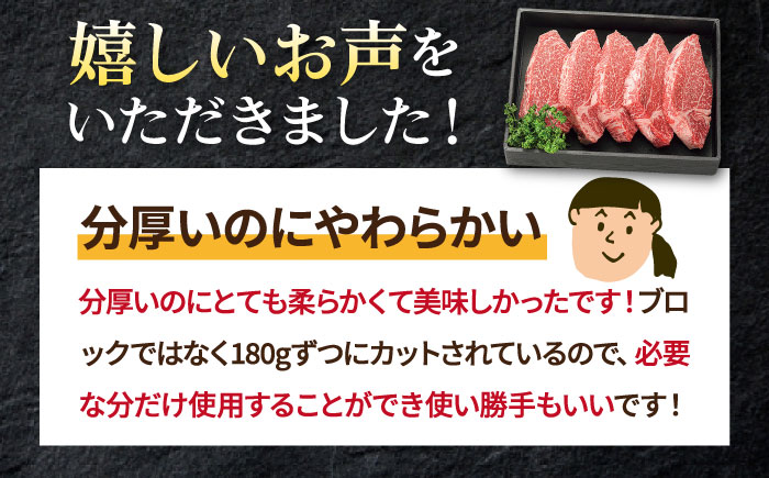 特選 壱岐牛 ヒレステーキ 180g×5枚《壱岐市》【太陽商事】[JDL023] 肉 牛肉 ヒレ ひれ フィレ ステーキ ヒレステーキ シャトーブリアン BBQ 焼肉 赤身 80000 80000円 