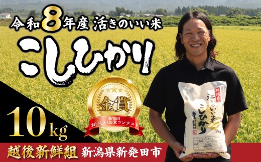 【2026年10月以降発送】 令和8年産 コシヒカリ 10kg  金賞米 先行予約 こしひかり 精米 白米 ご飯 おにぎり 弁当 新潟県産 新発田産 新潟 米 お米 こめ 受賞 越後新鮮組 新潟県 米 新潟県 新発田市 shinsengumi002_202610