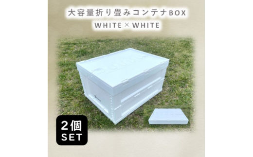 
折畳式コンテナBOX ホワイト×ホワイト 2個SET【1318174】
