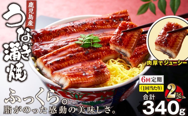 
2323-1 【6回定期】鹿児島産うなぎ170g×2尾 合計340g
