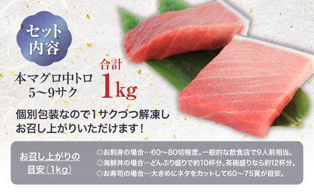 本マグロ中トロ 小分け 約1kg まぐろ