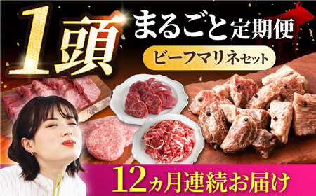 【12回定期便】しろいし牛1頭まるごと 食卓定期便 大容量 マリネ 焼肉 ハンバーグ 佐賀セントラル牧場 [IAH223]
