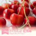 【ふるさと納税】先行予約 2025年産 さくらんぼ 紅秀峰 1.2kg(200g×6) 秀 Lサイズ以上 山形県産 フルーツ 果物 くだもの サクランボ sb-bsslx1200 ※沖縄・離島への配送不可