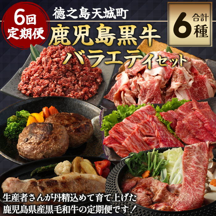 【6回定期便】鹿児島黒牛 バラエティセット 焼肉 すき焼き ステーキ バラスライス 和牛ミンチ ハンバーグ 鹿児島牛 鹿児島黒牛 黒牛 ロース カルビ バラ 冷凍 定期便 6回 マイナビ