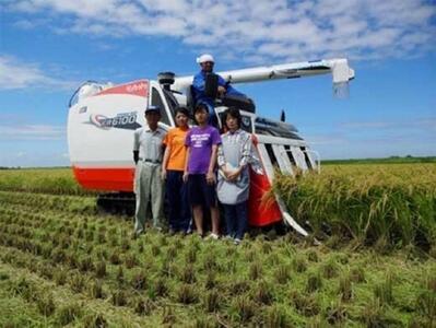 【7年産】野口勘右衛門のお米「安心栽培米（コシヒカリ）」玄米20kg(10kg×2)