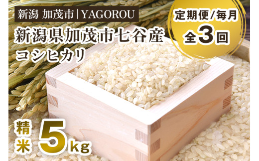 【令和8年産新米先行予約】【定期便3ヶ月毎月お届け】新潟県加茂市 七谷産コシヒカリ 精米5kg 《10月上旬～順次出荷》  新潟産コシヒカリ 豊かな山水で育った天水米 加茂市 YAGOROU ヤゴロウ