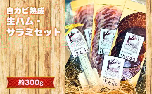 No.442 白カビ熟成　生ハム・サラミセット　約300g ／ 肉 豚肉 生ハム サラミ ソーセージ 白かび 凝縮 旨み 愛知県