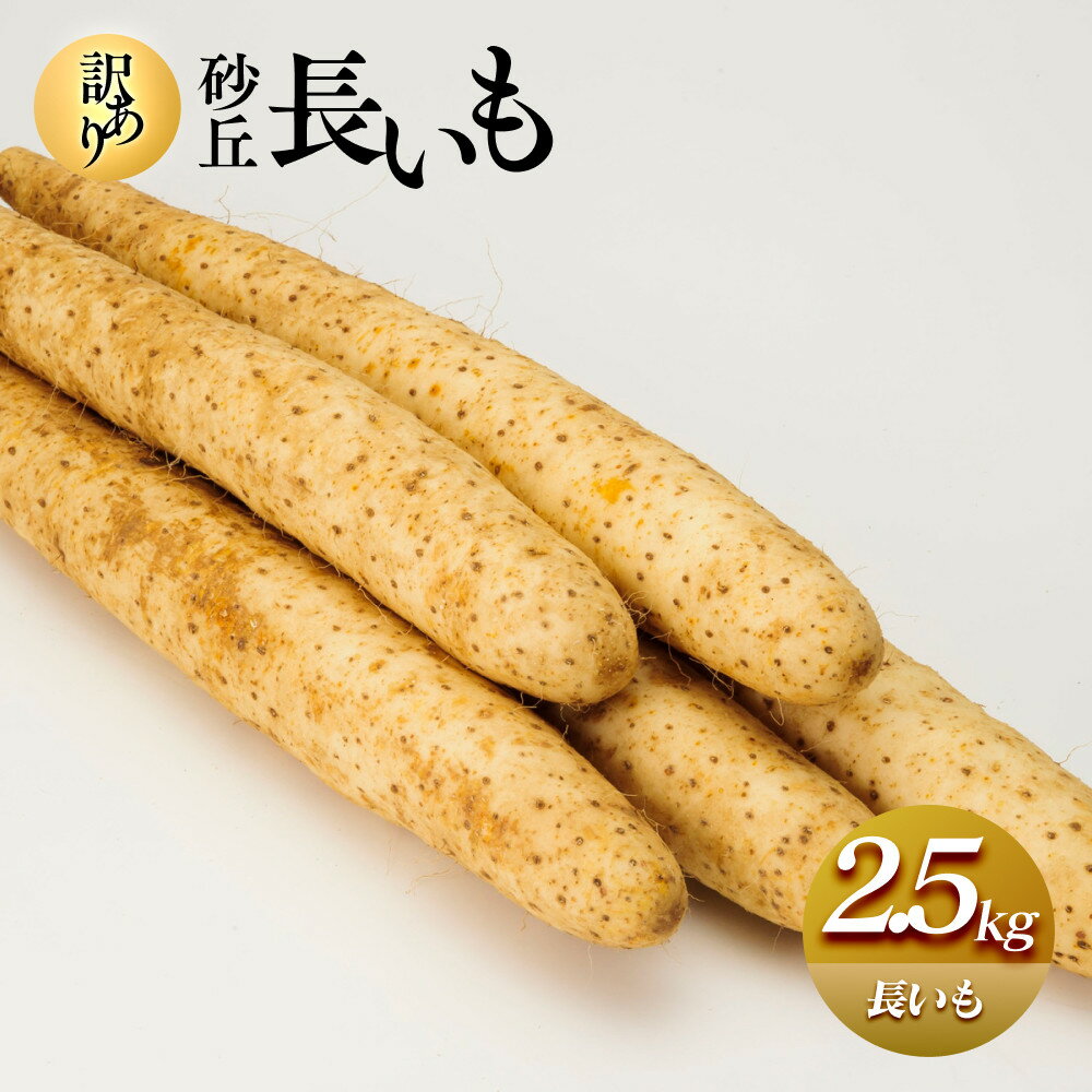 【ふるさと納税】943.≪先行受注≫【訳あり】砂丘長いも2.5kg 長芋 ながいも 鳥取県産 ※11月上旬頃～3月下旬頃に順次発送予定 | 野菜 やさい 根菜 とろろ 長芋 芋 いも 鳥取県 北栄町 おすすめ 人気 送料無料