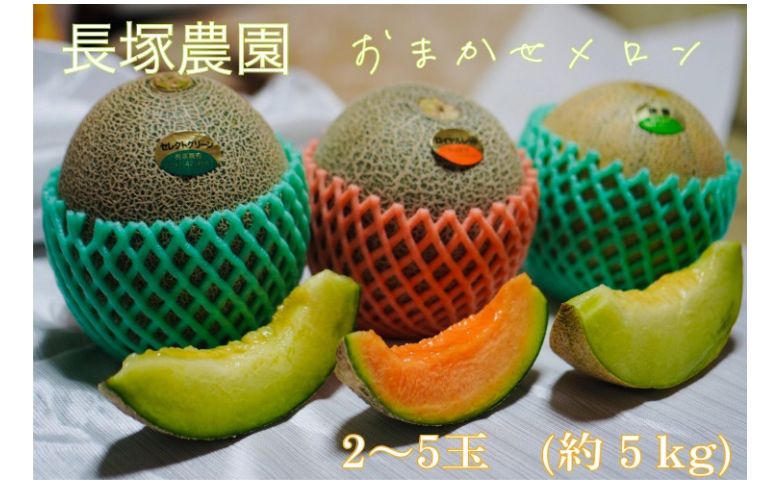 【先行予約】令和7年 おまかせメロン（品種：タカミメロン・ホノカメロン・優香メロン） 2～5玉（約5kg）｜ 数量限定 セレクトグリーン ロイヤルレッドメロン ジューシー 香り フルーツ 果物 ※20