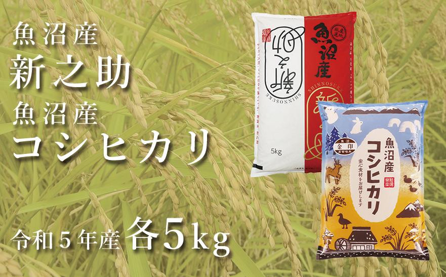 
中魚沼産「新之助」5kg ＋ 魚沼産コシヒカリ「金印」5kg 食べ比べセット＜令和5年産＞
