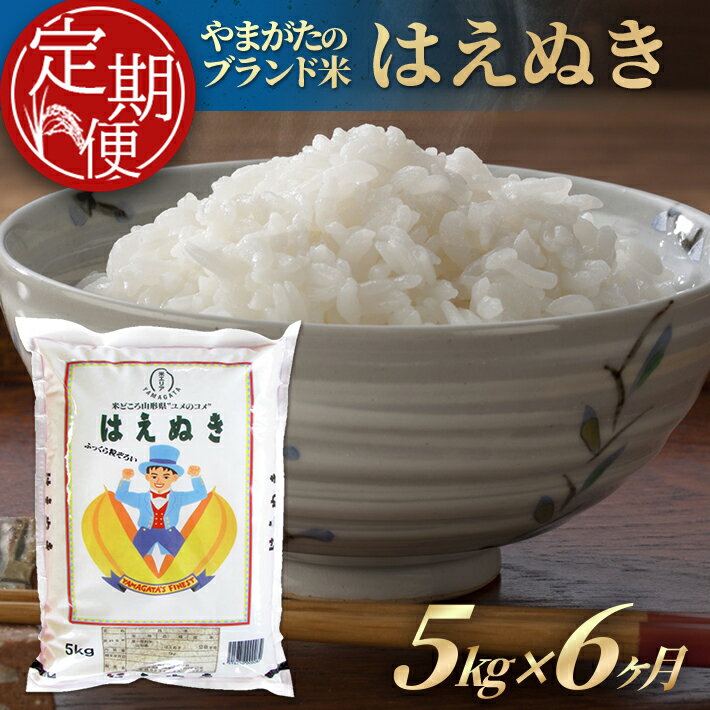 【ふるさと納税】≪6ヶ月定期便≫ はえぬき 5kg×6ヶ月連続 計30kg 山形県産 ご希望期間の毎月中旬にお届け 東北 酒田市 庄内地方 精米 白米 ブランド米 ごはん ご飯 連続定期便