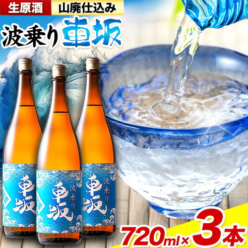 【ふるさと納税】車坂 山廃仕込み 生原酒 720mL x 3本《2025年6月上旬-11月中旬頃出荷(土日祝除く)》酒のねごろっく ギフト 和歌山県 岩出市 日本酒 お酒 酒 原酒 18度 冷蔵 波乗り
