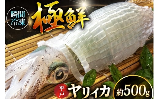 イカ 刺身 極鮮ヤリイカ 約500g [海隆丸 長崎県 平戸市 hr42bgy400118] ヤリイカ 新鮮 海鮮 魚介 瞬間冷凍 冷凍 コリコリ 直送 冷凍 個包装 真空パック