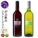 【ふるさと納税】 ワイン 赤ワイン 白ワイン シャトージュン 甲州 がぶ飲み 赤 白 750ml×2本 ライトボディ 辛口 山梨県産葡萄 国産 気軽 甲州ワイナリー 山梨県 甲州市 （MG） 【B11-802】