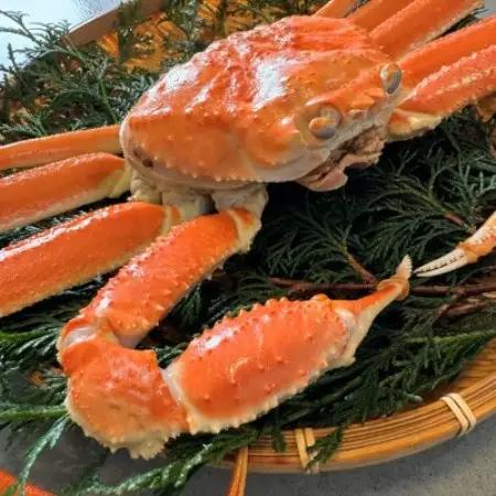 【さかなや新鮮組】鳥取県産 訳あり 浜茹で松葉ガニ(900g以上) 1枚 漁港直送【配送不可地域：離島・北海道・沖縄県・東北・信越、北陸】【1759529】