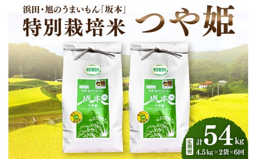 【定期便】【令和6年産】浜田・旭のうまいもん「坂本」特別栽培米つや姫　4.5kg×2袋×6回 【1033】