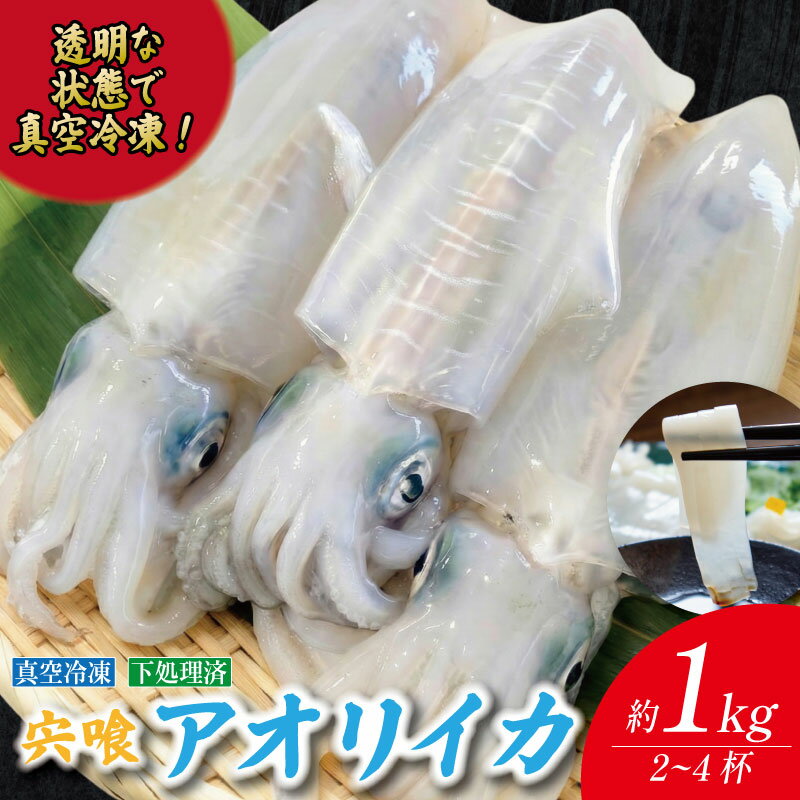 【ふるさと納税】 アオリイカ 1kg 2～4枚 《水揚げから数分で真空冷凍！》 イカ あおりいか 下処理済み 刺し身 刺身 海鮮 おつまみ 海鮮丼 寿司 いかめし いか 焼き 徳島 海陽町 宍喰