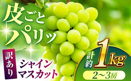 2025年10月まで発送 【訳あり】シャインマスカット 約1kg(2～3房)【合同会社 社方園】[ZBZ028]