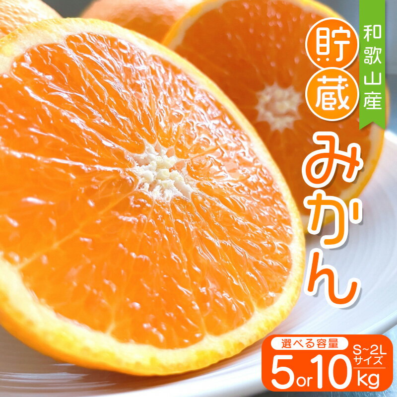 【ふるさと納税】【先行予約】S～2L サイズおまかせ 紀美野町産 貯蔵みかん 5kg～10kg【2026年1月中旬～2月下旬に順次発送致します。】