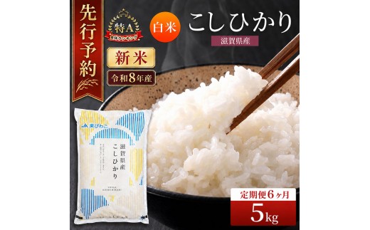 
                  【令和8年産】 米 定期便 コシヒカリ 白米 5kg 先行予約 新米 こしひかり 6回定期便 精米 こめ コメ お米 ご飯 米定期便 6か月定期便 6ヶ月定期便 6回 6ヶ月 6か月 滋賀県 豊郷町
                