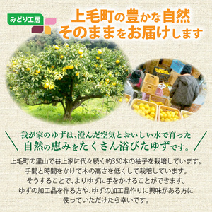 訳あり 青ゆず 生果実 たっぷり5㎏　MM0206