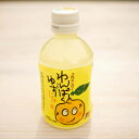 【ふるさと納税】わんぱくゆずジュース 280ml×24本