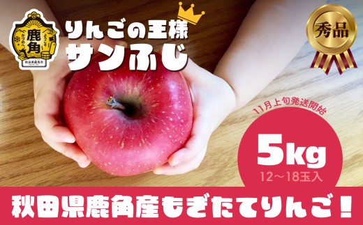 《先行予約》秋田県鹿角産 りんご 秀品 サンふじ 約 5kg（12～18玉入） ●2026年11月上旬発送開始 【ケーケー農園】かづのりんご 食感 果汁 さっぱり リンゴ 完熟 旬 県産りんご 林檎 お中元 お歳暮 贈り物 お見舞い グルメ ギフト 故郷 秋田 あきた 鹿角市 鹿角 送料無料