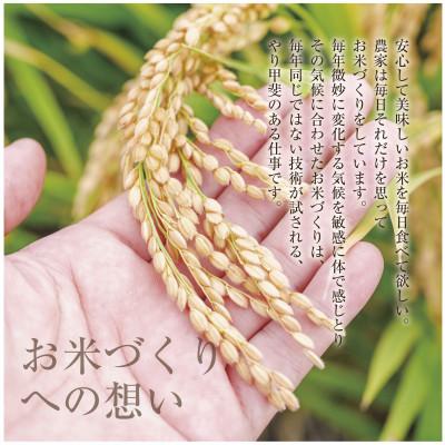 ふるさと納税 十日町市 新潟県 魚沼産 こしひかり 6kg 精米 (お米の美味しい炊き方ガイド付き) |  | 02