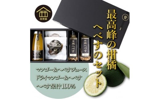 
            NSMHS 串間特産マンゴー＆へべすギフトセット【西華園】
          