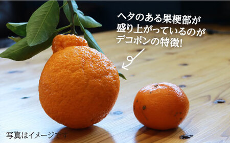 デコポン 糖度13〜15度！ハウス木成完熟 デコポン （ 不知火 ）約3kg＜原口果樹園＞ [CCW005] 長崎 西海 柑橘 みかん ミカン デコポン でこぽん 不知火 みかん ミカン デコポン で