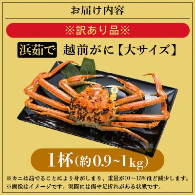 ふるさと納税 越前町 【訳あり】越前がに 浜茹で 大サイズ(生で約0.9〜1kg)× 1杯 約2人前【12月より順次発送】 |  | 03