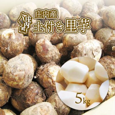 ふるさと納税 庄内町 【R8.11月中旬より順次発送】庄内産 土付き里芋 5kg(入金期限:2026.12.10)