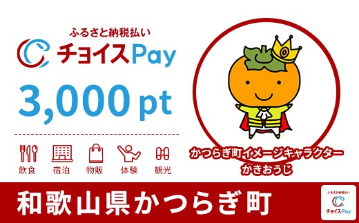 
            かつらぎ町チョイスPay 3,000pt【会員限定のお礼の品】
          
