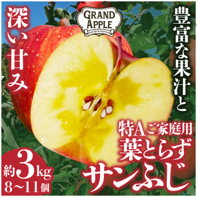 〈令和6年産先行予約〉皮ごとバリッ!葉とらずサンふじ　特Aご家庭用 約3kg【配送不可地域：離島・沖縄】【1353849】