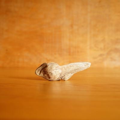 ふるさと納税 屋久島町 【屋久島の流木】小サイズ　タイプ1 |  | 02