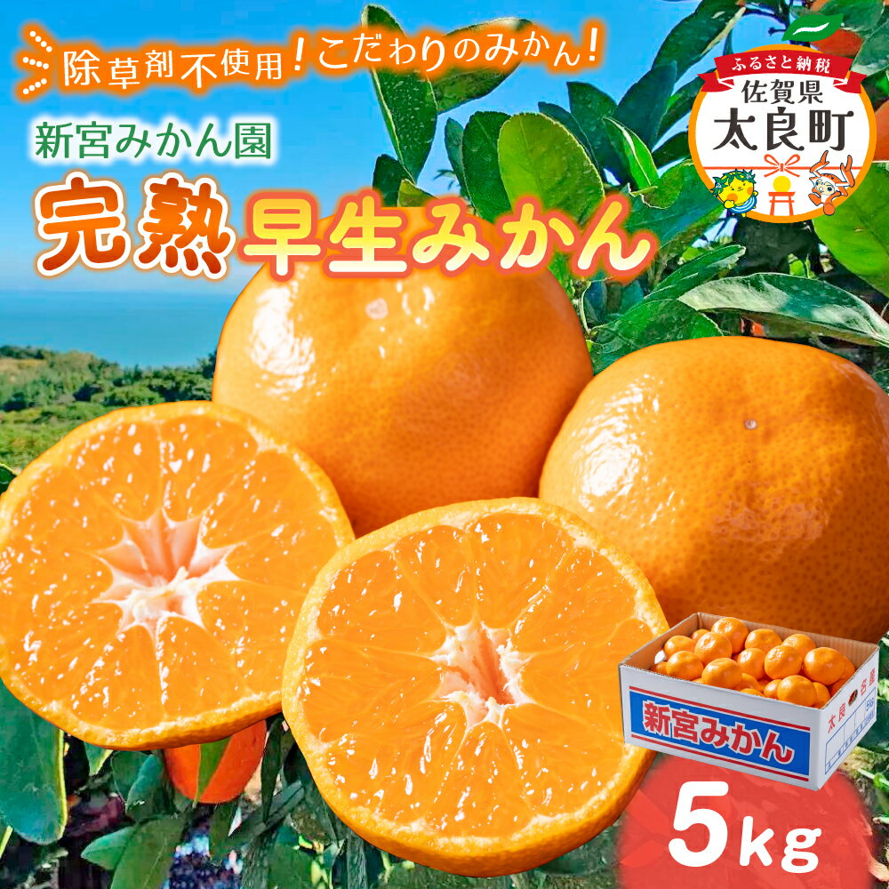 【先行予約】【ふるさと納税】完熟早生みかん 5kg | みかん ミカン 蜜柑 早生 極早生 ふるさと納税 5kg 佐賀県 太良町 有明海 柑橘 甘い 完熟 果物 フルーツ 紅みかん 盛田温州 新宮みかん園 佐賀県 太良町 L-54