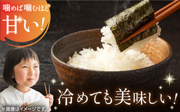 ＜もっちり甘い＞令和5年産 さがびより 白米 計10kg（5kg×2袋）/ 佐賀米 精米 コメ おこめ ごはん / 佐賀県/株式会社JA食糧さが[41ADAR005]