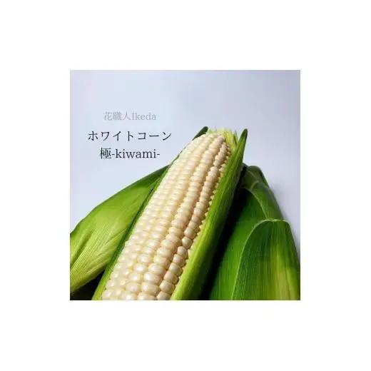 N352　ホワイトコーン極－Ｋｉｗａｍｉー（大）