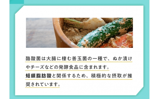 ＜定期便＞サンファイバープラス【スティック】6ｇ×30包 【1箱定期便6ヶ月】