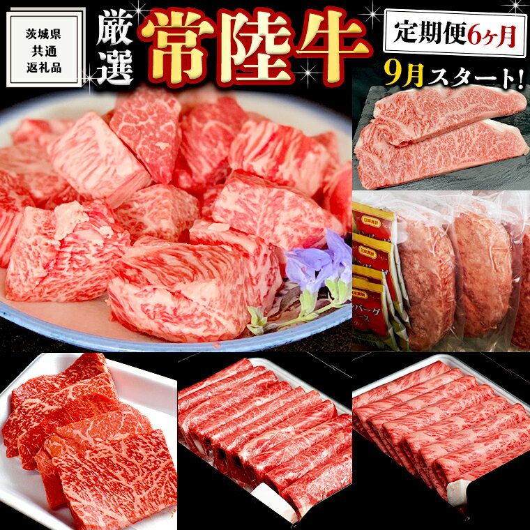 【ふるさと納税】《 定期便 9月スタート 》 厳選 『 常陸牛 』 6ヶ月セット ( 茨城県共通返礼品 ) A5 A4 肉 焼肉 国産 霜降 サーロイン もも ハンバーグ ステーキ すき焼き しゃぶしゃぶ