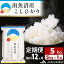 【ふるさと納税】米 定期便 南魚沼産 コシヒカリ 60kg ( 5kg × 12ヵ月 ) | お米 こめ 白米 食品 人気 おすすめ 送料無料 魚沼 南魚沼 南魚沼市 新潟県 精米 産直 産地直送 お取り寄せ お楽しみ