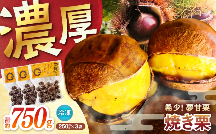 
                  【先行予約】夢甘栗 焼き栗 3袋 約750g 〈2026年11月上旬～2026年11月下旬頃発送〉 【仁淀川流域夢甘栗生産者組合 くり蔵】 [ATDR004]
                