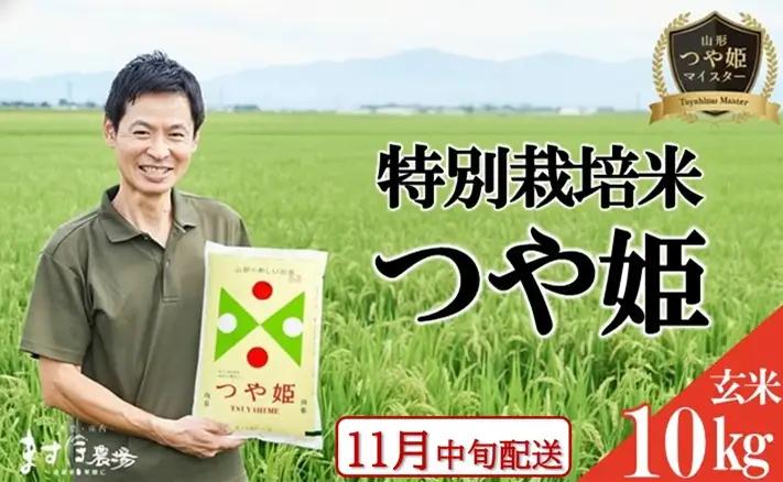 SC0736　11月中旬配送／令和8年産【玄米】つや姫マイスターが作った 特別栽培米『つや姫』10kg(5kg×2袋)［減農薬・減化学肥料］ MA