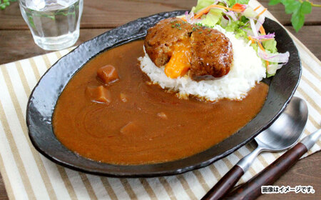 【小分け】日本ハム レストラン仕様カレー中辛10パックセット(1パック4袋入り)計40食分/ カレー かれー レトルト 牛肉 小分け / 諫早市 / 日本ハムマーケティング株式会社 [AHAL003]