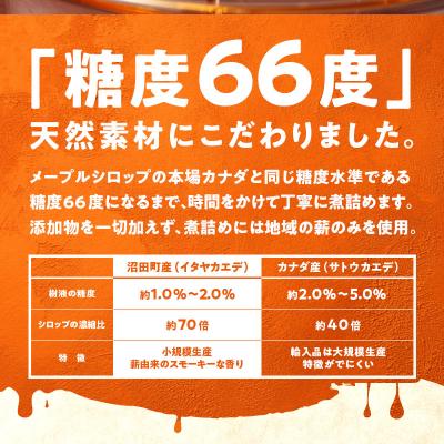 ふるさと納税 沼田町 メープルシロップ「snow」(65g)3本セット 国産 北海道 樹液 食品 沼田町 n-0111 |  | 01