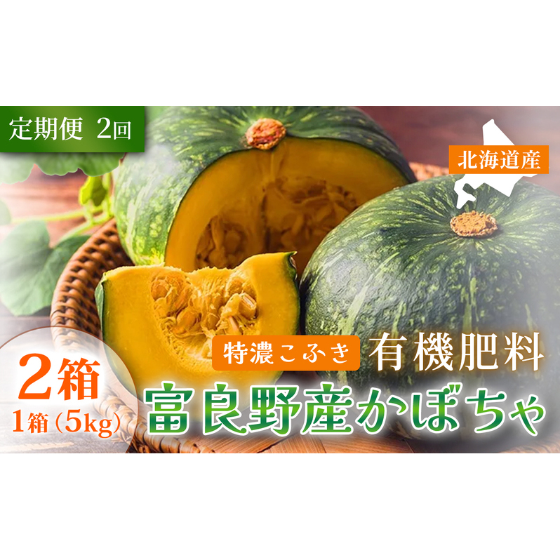 【定期便2ヵ月】秋の味覚 北海道産 カボチャ 特濃こふき 無選別 5kg×2箱 全2回｜北海道富良野市 9～10月発送 野菜 しっとり ホクホク 濃厚 甘い 濃橙果肉 黒皮カボチャ かぼちゃ こふきかぼちゃ 南瓜 料理用 煮物